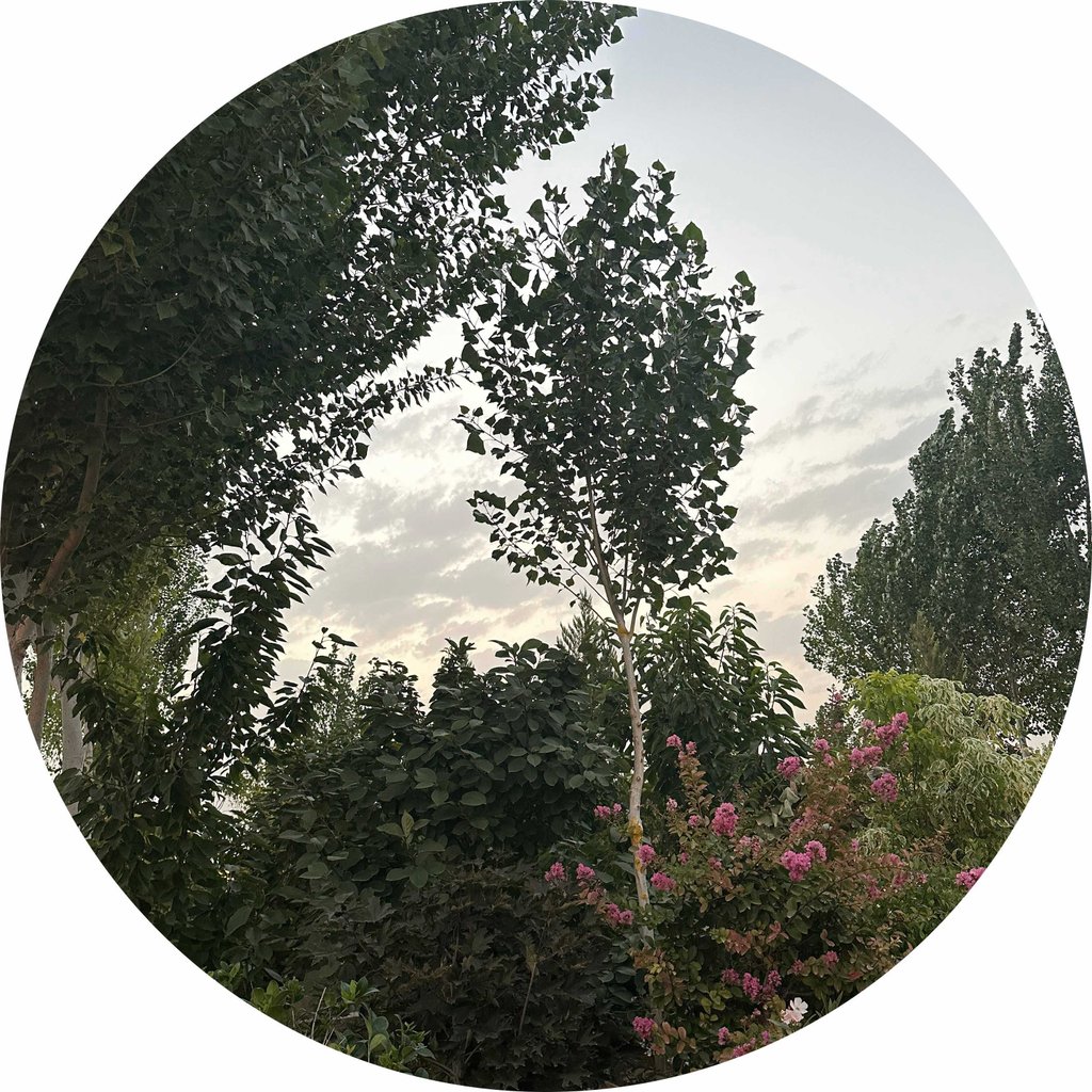تصویر پروفایل میزبان