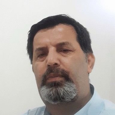 سید علی