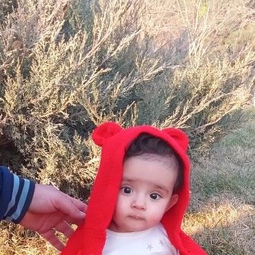 محمد