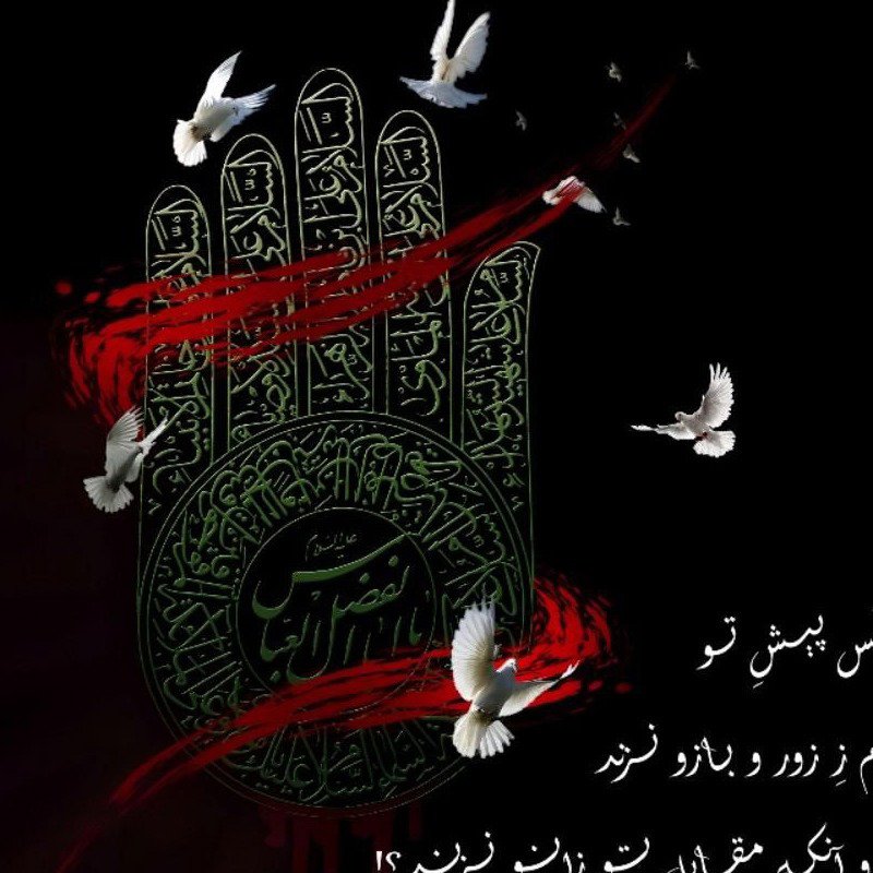 تصویر پروفایل میزبان