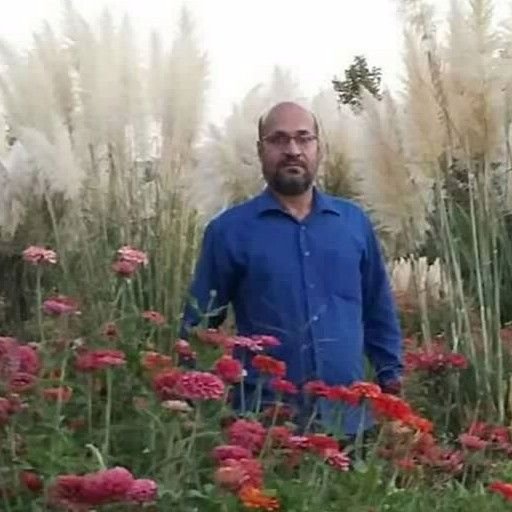 محمد