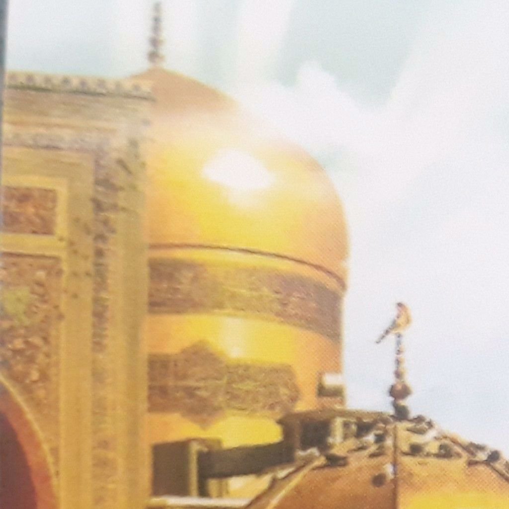 هادی گنابادی