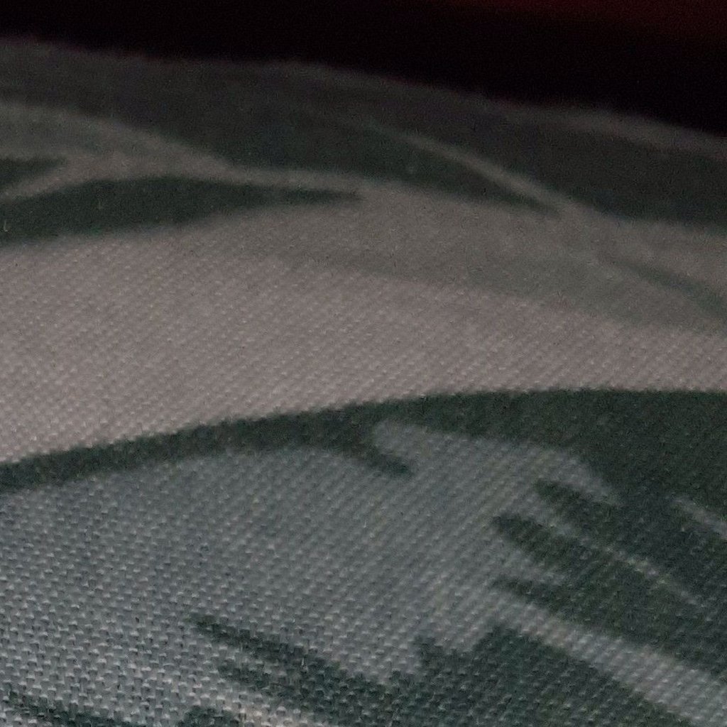 تصویر پروفایل میزبان