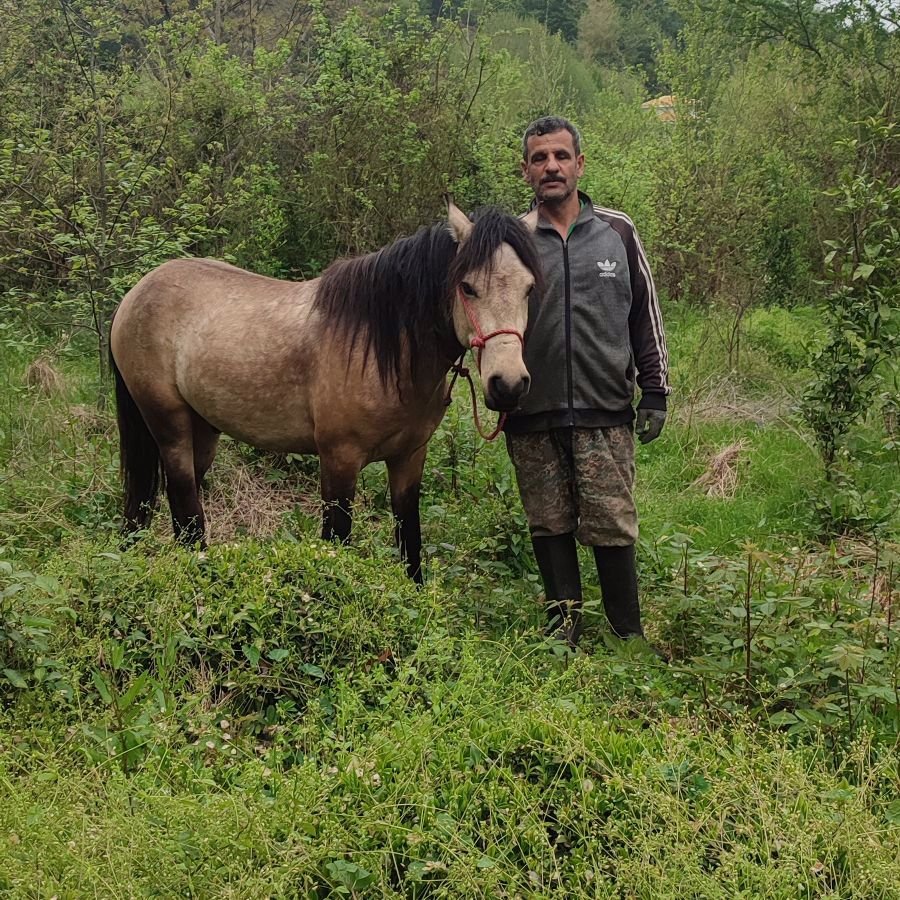 تصویر پروفایل میزبان