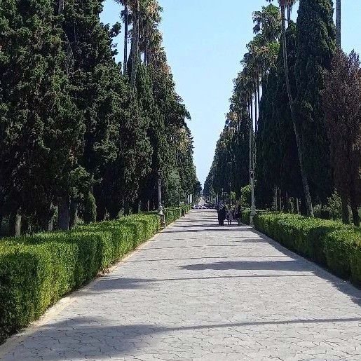 نعيمه