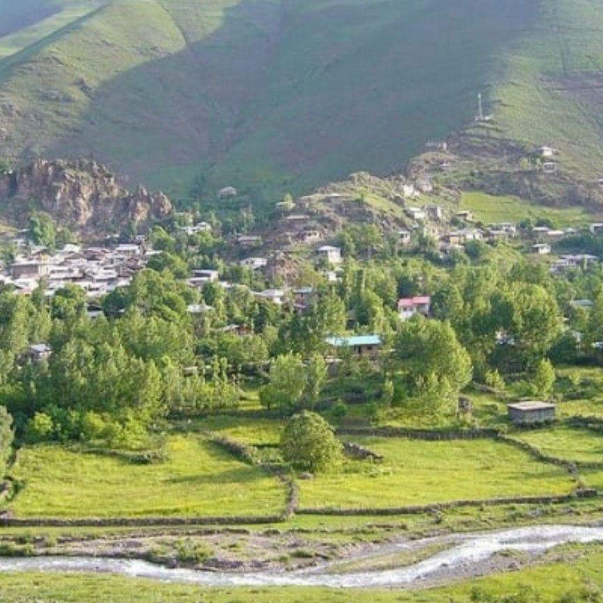مجید 