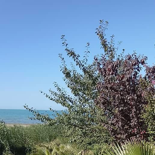 تصویر پروفایل میزبان