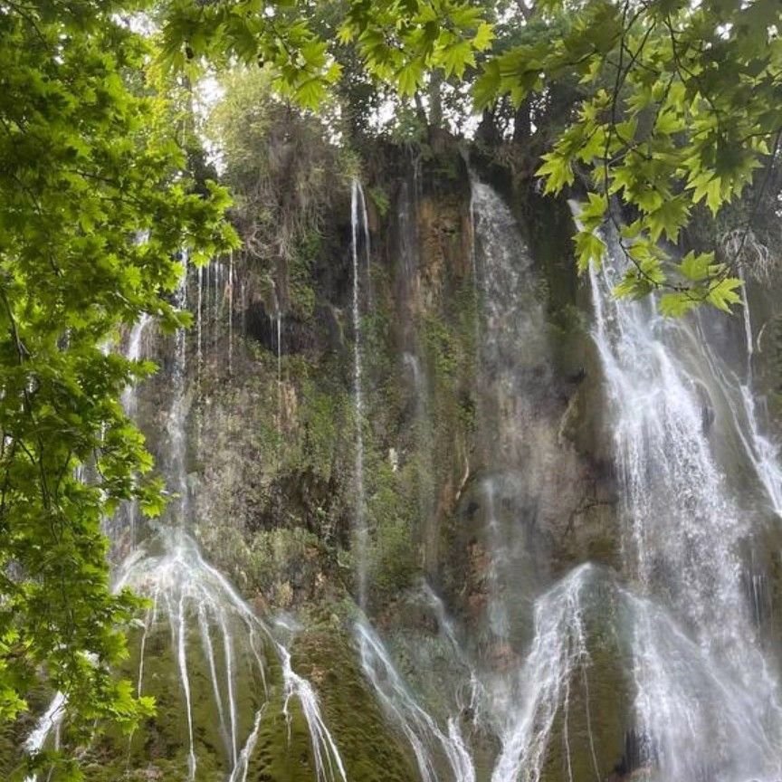 تصویر پروفایل میزبان