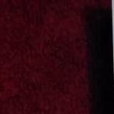 تصویر پروفایل میزبان