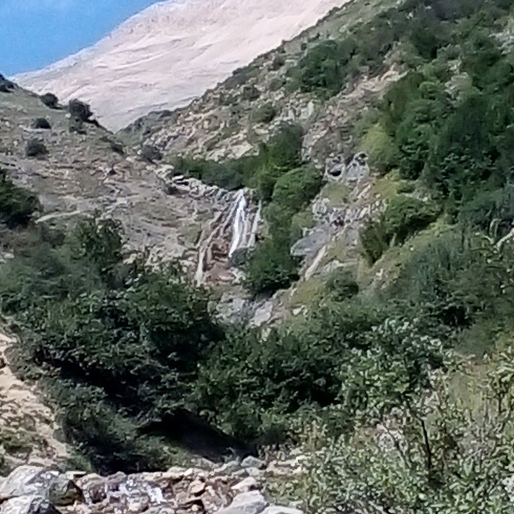 محسن
