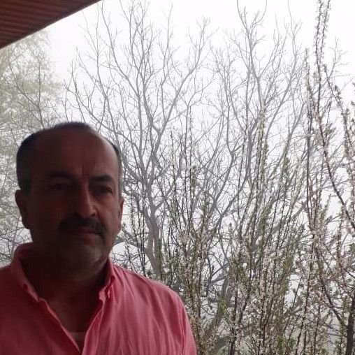 حمید