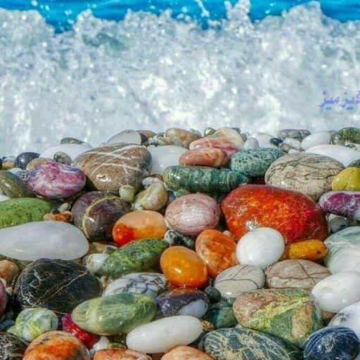 تصویر پروفایل میزبان