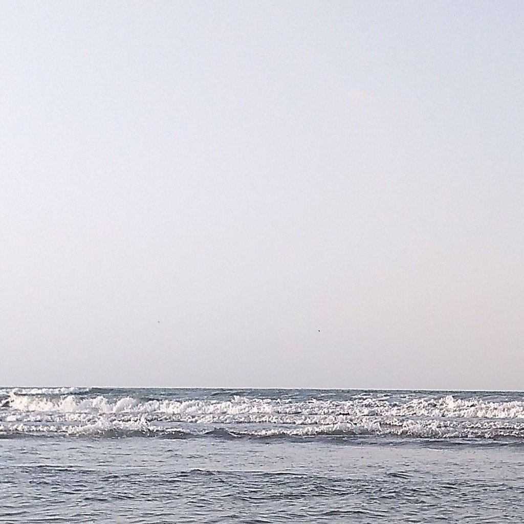 تصویر پروفایل میزبان