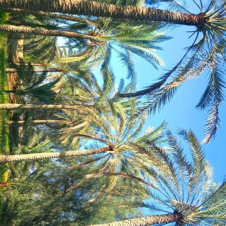 تصویر پروفایل میزبان