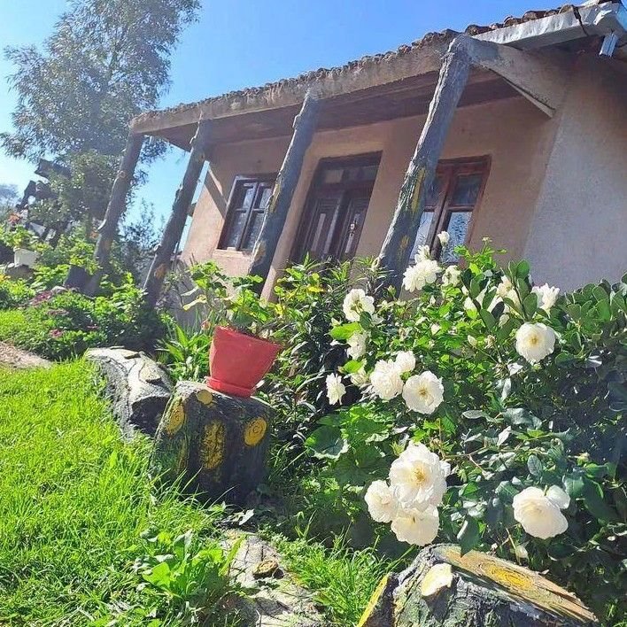 تصویر پروفایل میزبان