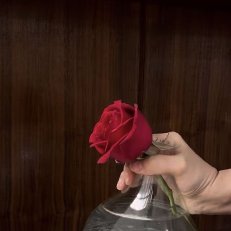 تصویر پروفایل میزبان