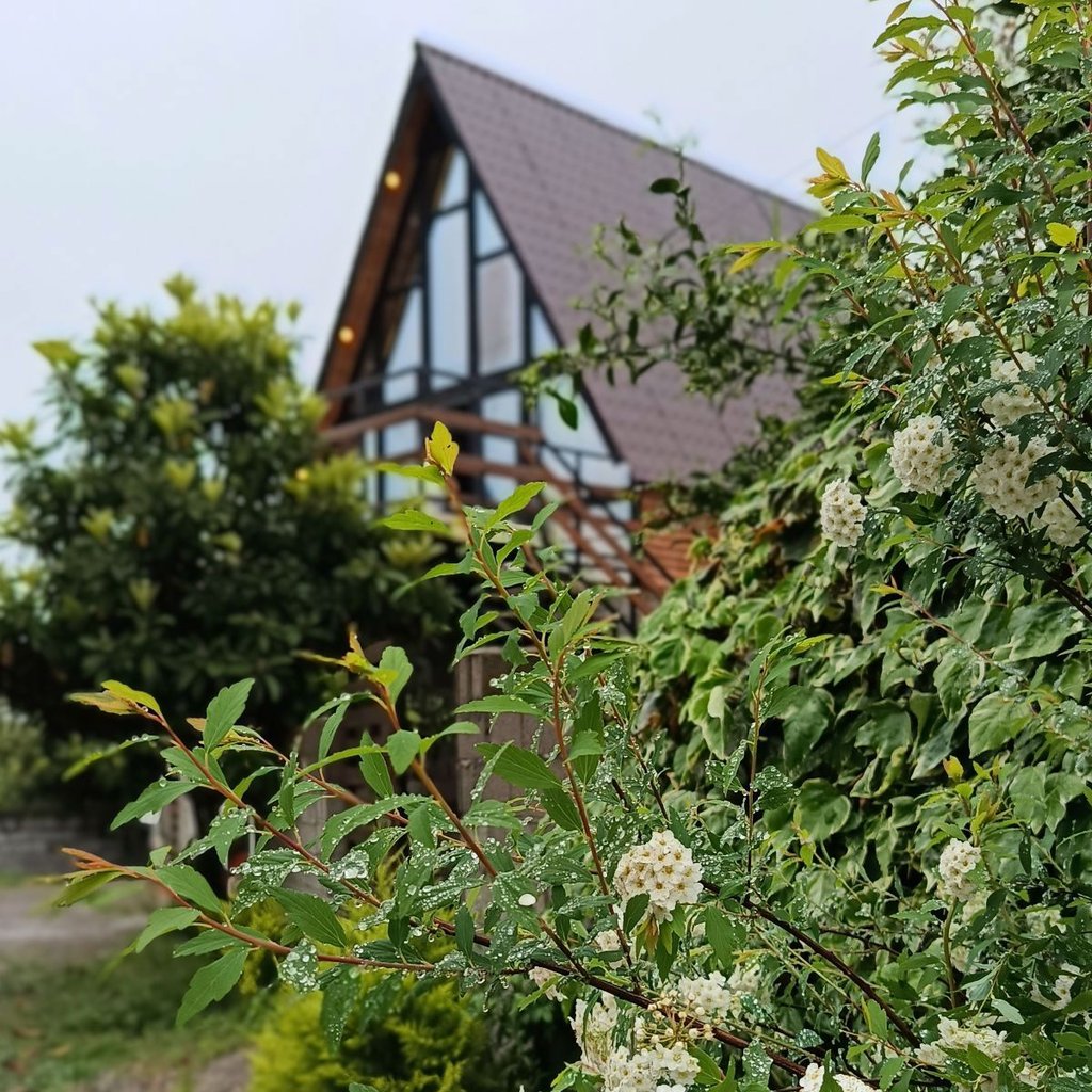 تصویر پروفایل میزبان