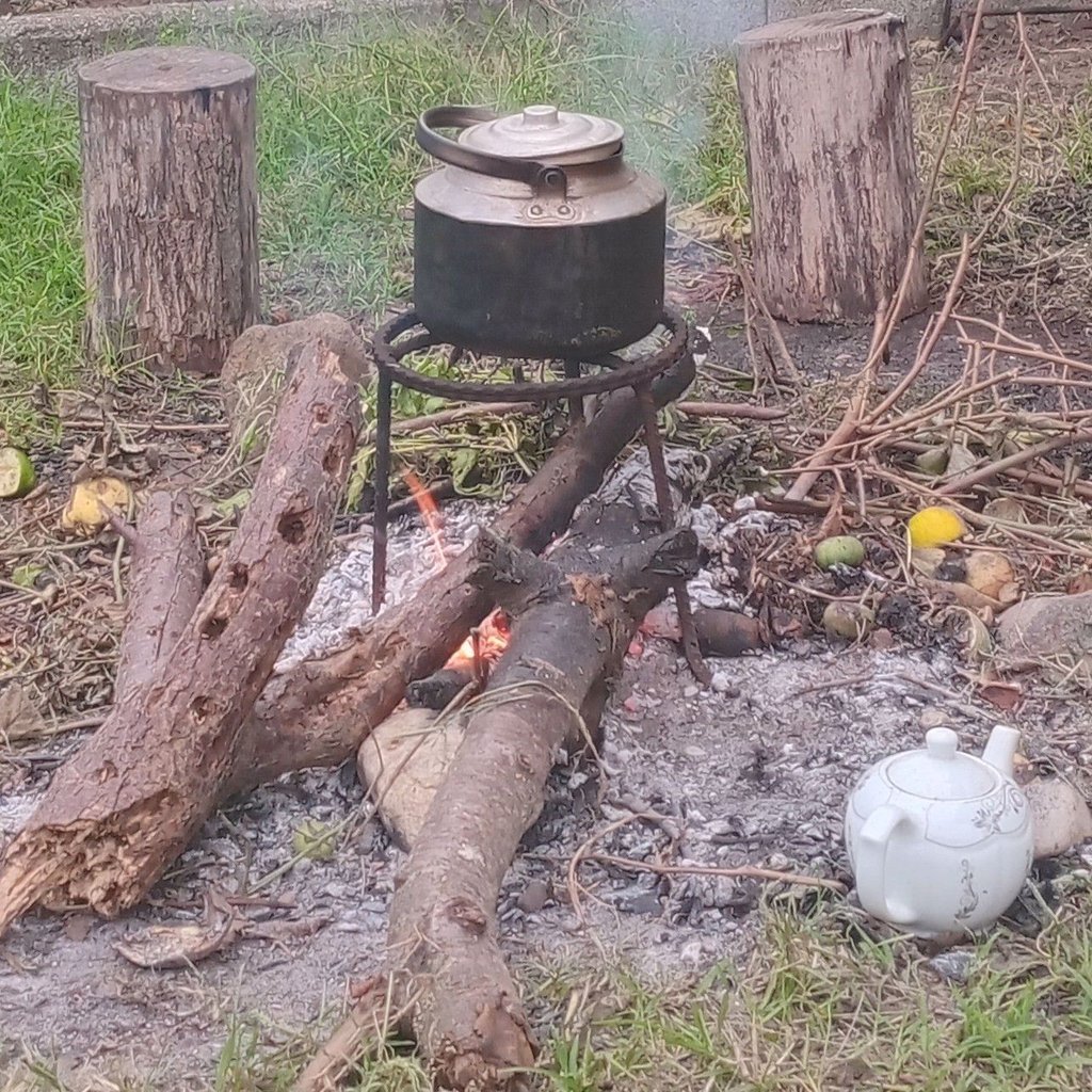 تصویر پروفایل میزبان