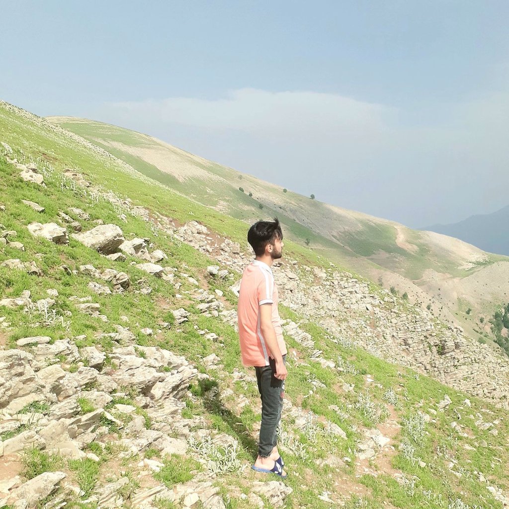 محمد جواد