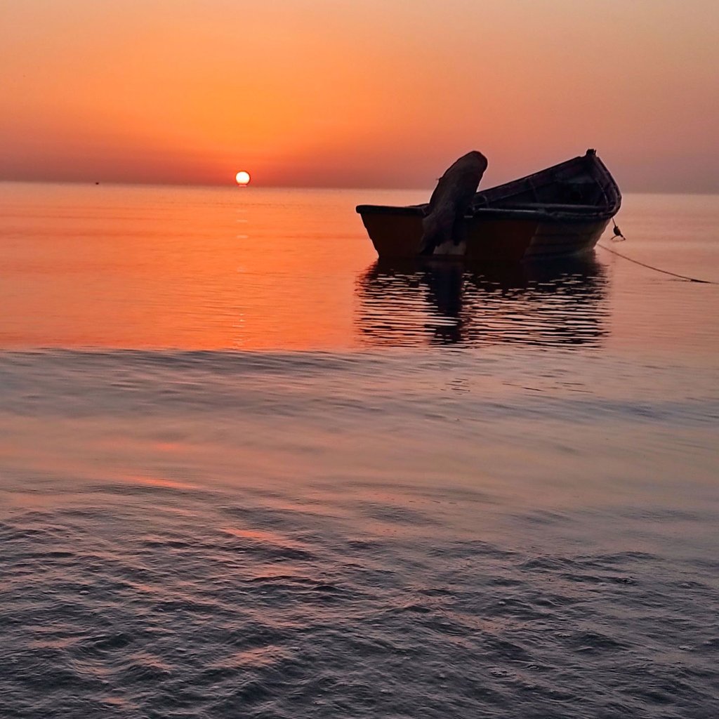 تصویر پروفایل میزبان