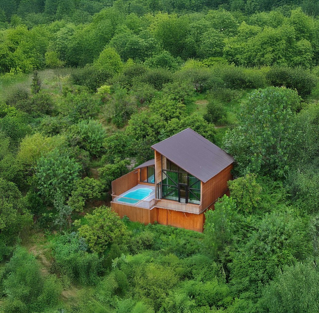 کلبه جنگلی استخردار در جاباما