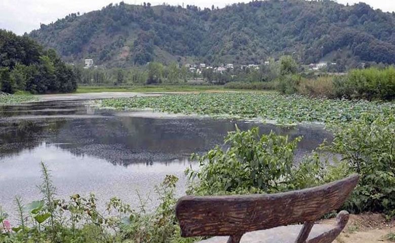 امکانات-رفاهی-تالاب-سوستان.jpg