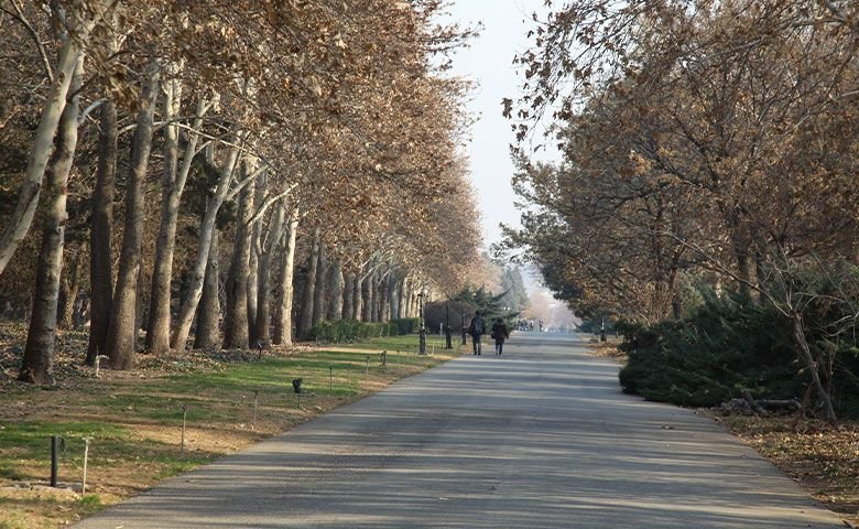 باغ گیاه شناسی تهران کجاست؟