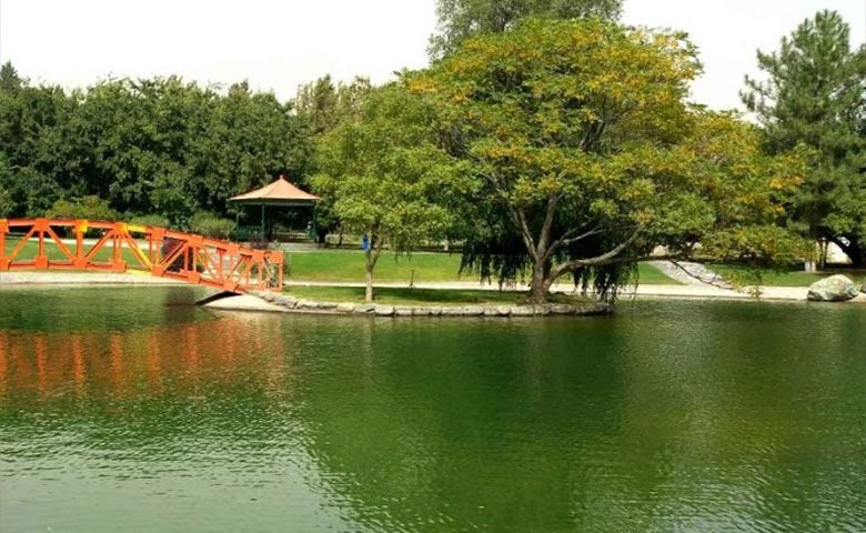 باغ-صخره‌ای-و-گیاهان-زینتی.jpg