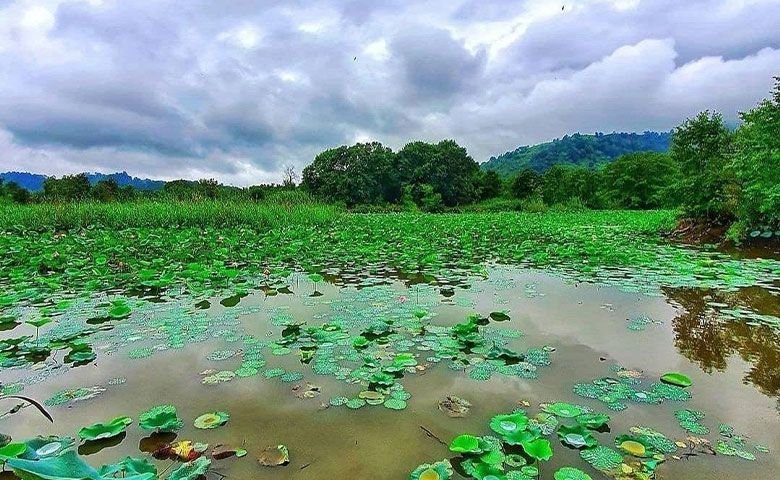 بهترین-مسیر-دسترسی-به-تالاب-سوستان-لاهیجان.jpg