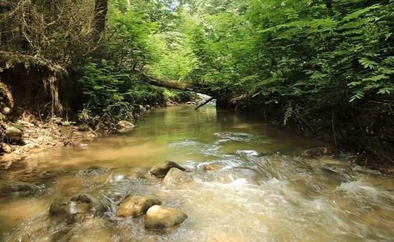 بهترین-زمان-سفر-به-پلنگ-دره.jpg