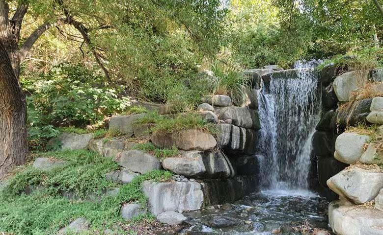 چمن‌زارهای آمریکا