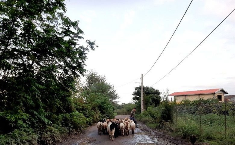 دهستان-ساحلی-جوکندان.jpg