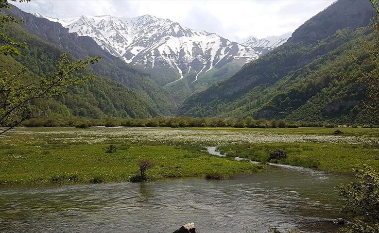 دشت-دریاسر.jpg
