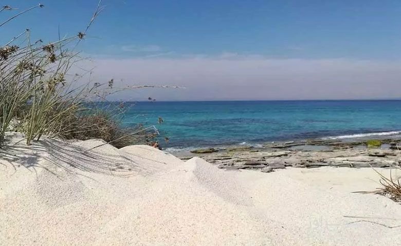 عکاسی.jpg