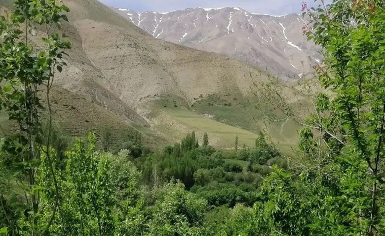 عکاسی.jpg