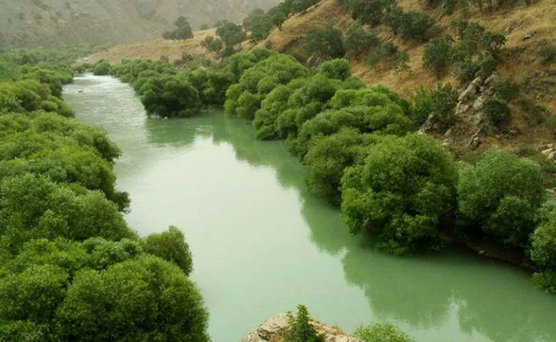 عکاسی.jpg