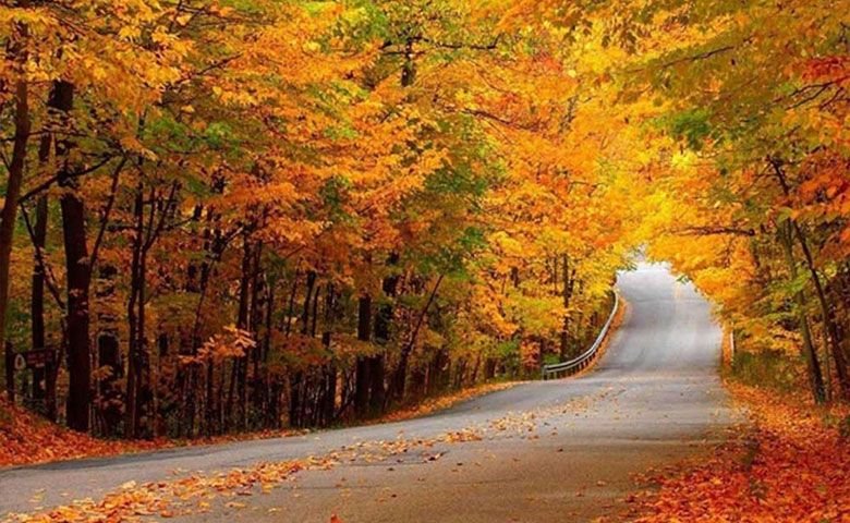 فصل-پاییز-شمال،-لذت-گشت‌وگذار-در-طبیعی-تماشایی-و-هزاررنگ.jpg