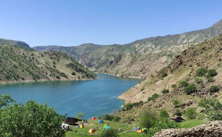گیاهان-و-جانوران-دشت-هلن.jpg