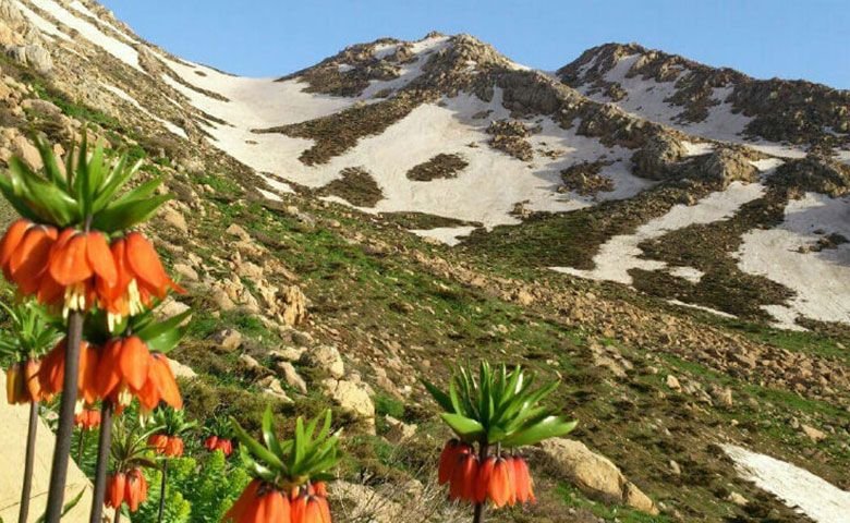 کوه-شاهو.jpg