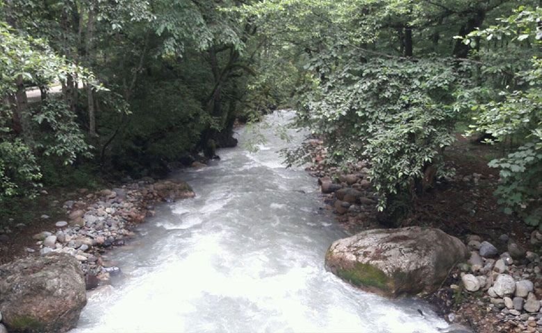 ماهیگیری.jpg