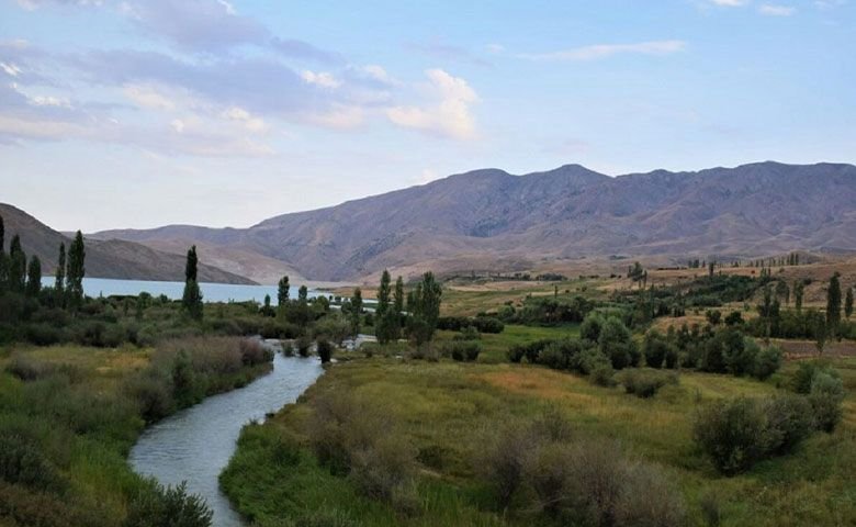 ماهیگیری.jpg