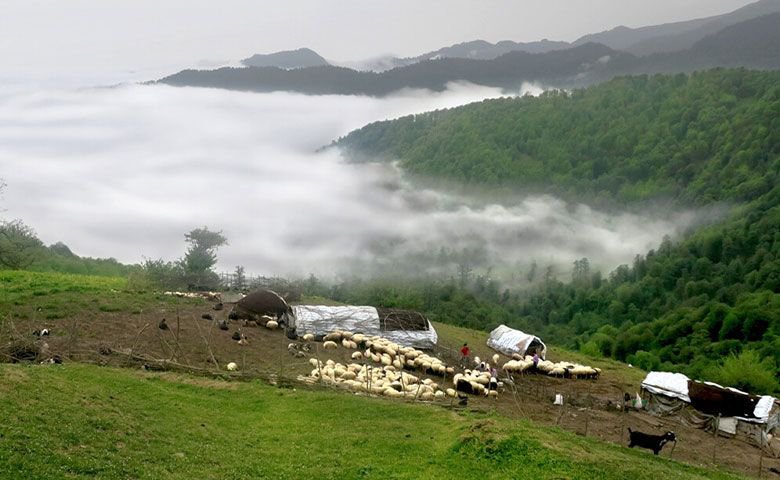 معرفی-جاهای-دیدنی-تالش-که-نباید-از-دست-بدهید.jpg