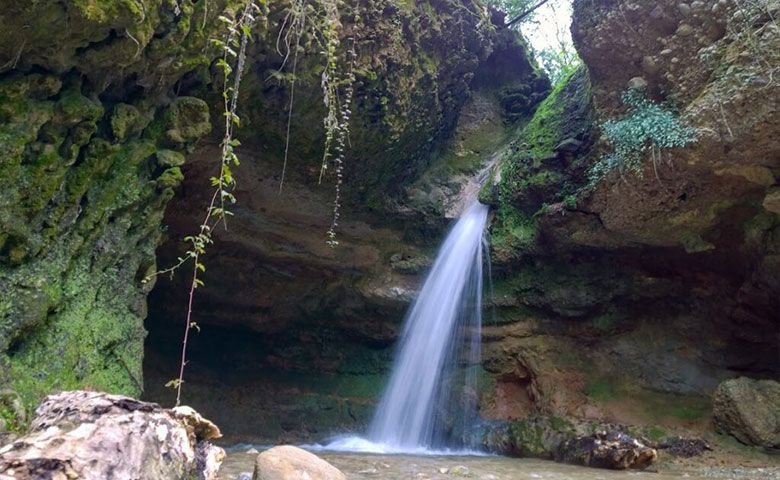 معرفی-پلنگ-دره-مازندران.jpg
