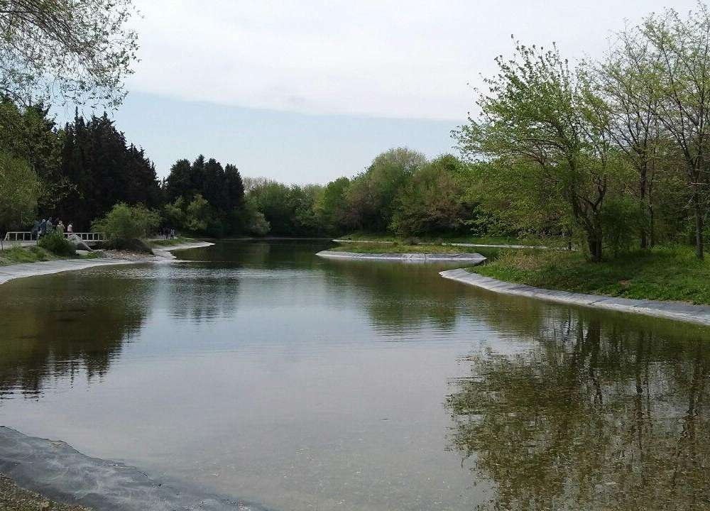 منظره جنگلی و دریاچه باغ گیاه شناسی ملی ایران