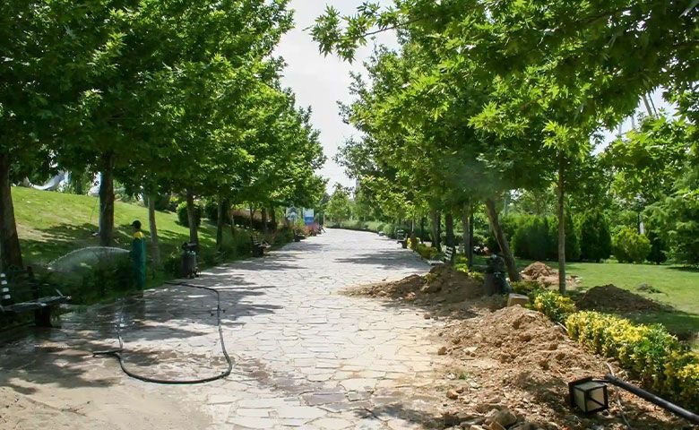 پارک-جنگلی-چیتگر.jpg