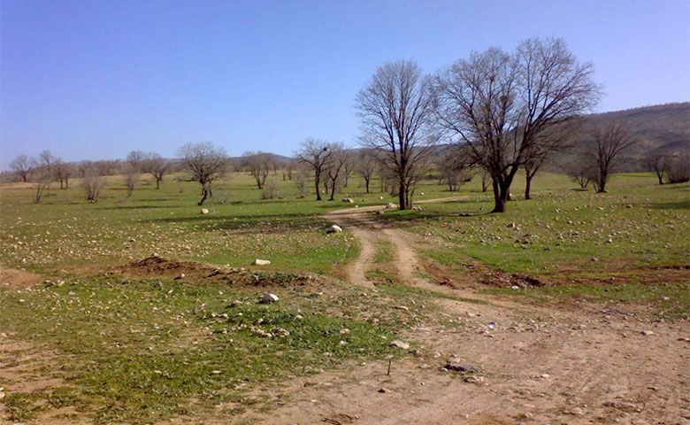 پارک جنگلی شورآب خرم‌آباد
