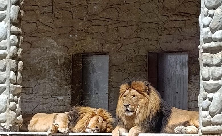 پارک-و-باغ-وحش-ارم.jpg