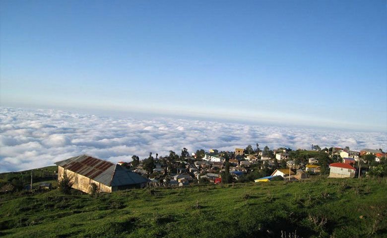 پوشش-گیاهی-و-جانوری-روستای-فیلبند.jpg