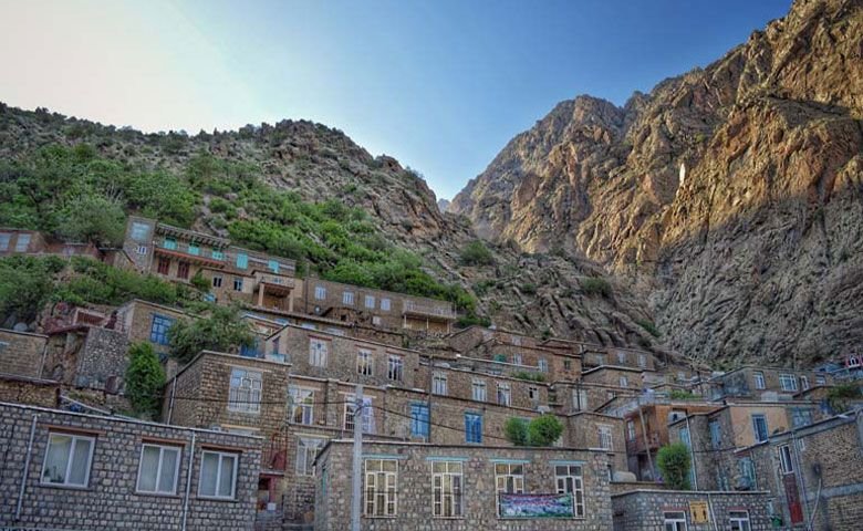 پوشش-گیاهی-و-جانوری-روستای-هجیج.jpg