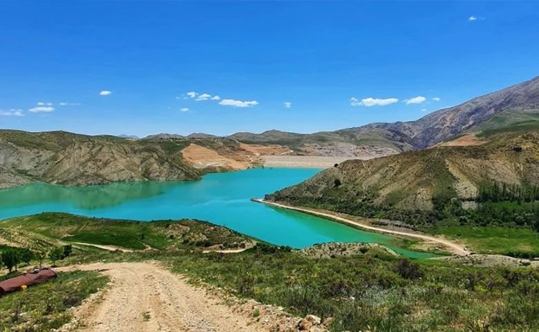 پوشش-گیاهی-و-جانوری-روستای-سله-بن.jpg